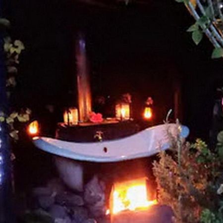 Warm Earth Cottages Aongatete Екстериор снимка
