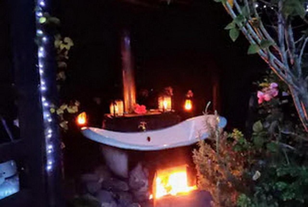 Warm Earth Cottages Aongatete Екстериор снимка