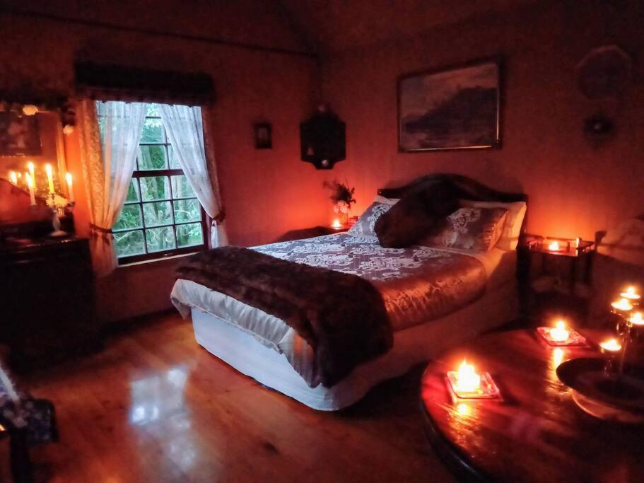 Warm Earth Cottages Aongatete Екстериор снимка